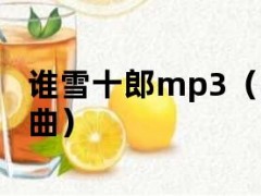 谁雪十郎mp3（谁雪十郎DJ版歌曲）