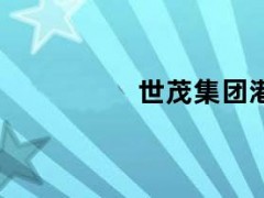 05月09日快讯：世茂集团港股涨超35%