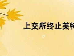 05月09日快讯：上交所终止英特派发行上市审核