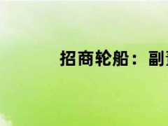 05月10日快讯：招商轮船：副董事长吴泊辞