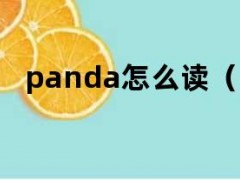 panda怎么读（pan怎么读）