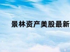 05月11日快讯：景林资产美股最新持仓：大