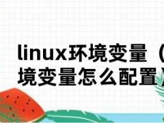 linux环境变量（linux环境变量怎么配置）