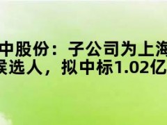 05月13日快讯：柘中股份：子公司为上海轨交400V低压开关柜设备采购项目中标候选人，拟中标1.02亿元